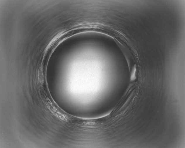 X0000086261172200703291425