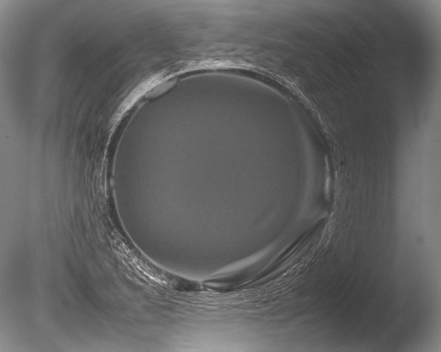 X0000086261173200703291425