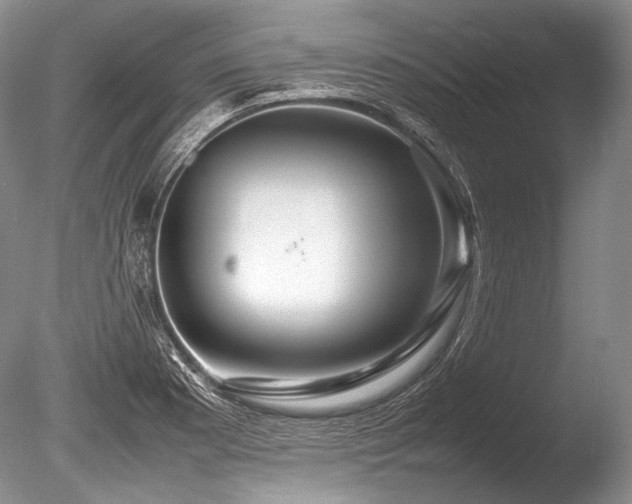 X0000086261177200703291425