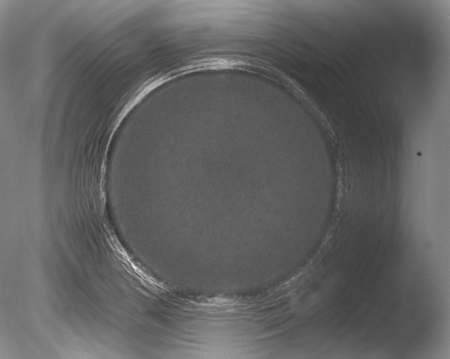 X0000086261178200703291425