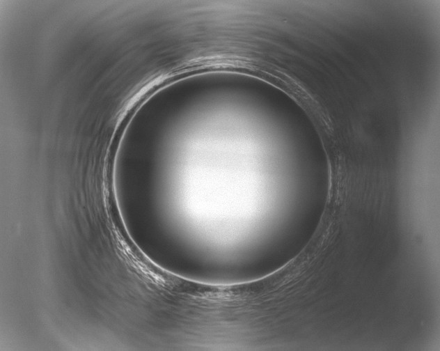 X0000086261182200703291425