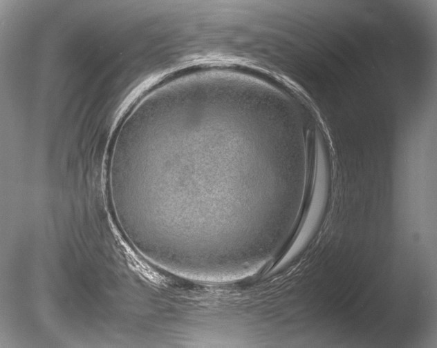 X0000086261183200703291425