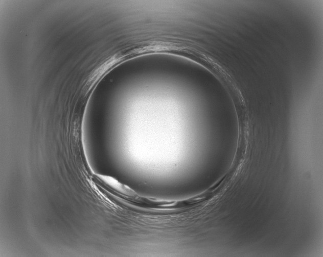 X0000086261185200703291425