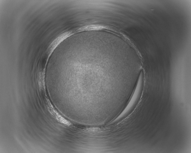 X0000086261186200703291425