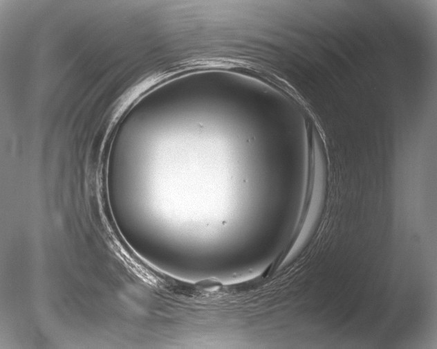 X0000086261187200703291425