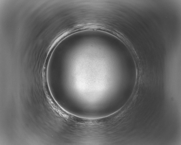 X0000086261190200703291425