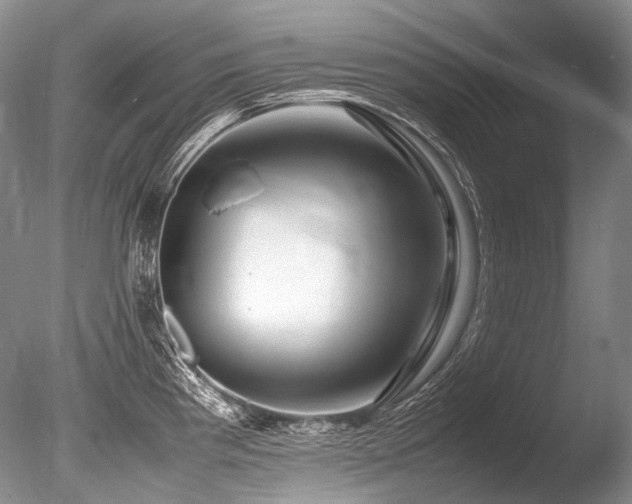 X0000086261193200703291425