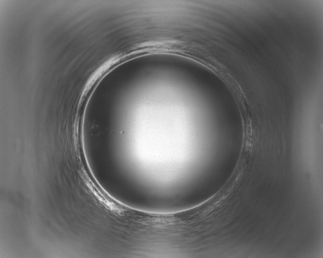 X0000086261196200703291425