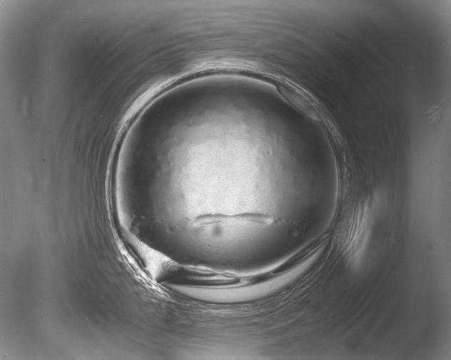 X0000086261199200703291425
