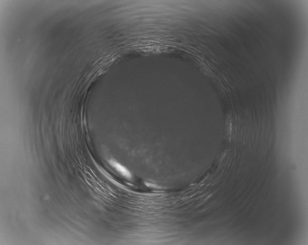 X0000086261202200703291424