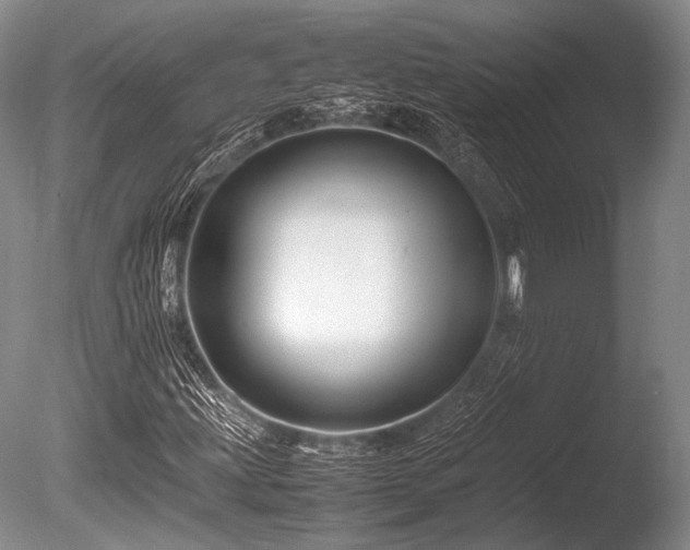 X0000086261203200703291424