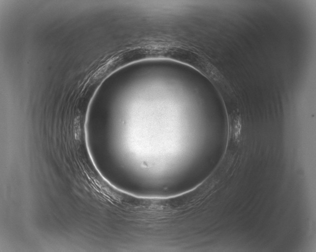 X0000086261204200703291424