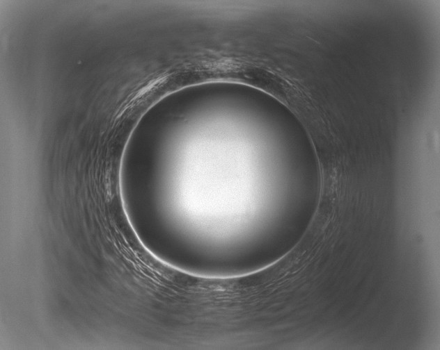 X0000086261205200703291424