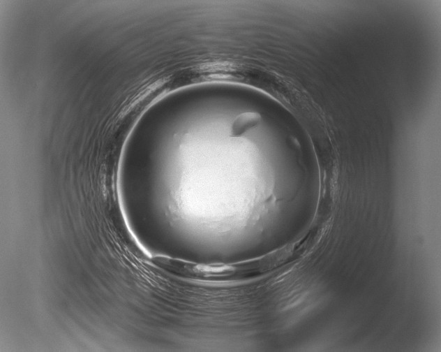 X0000086261209200703291424