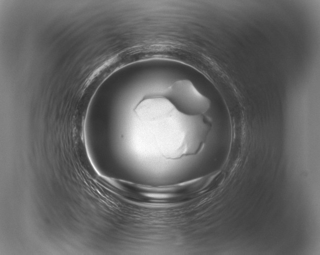 X0000086261210200703291424