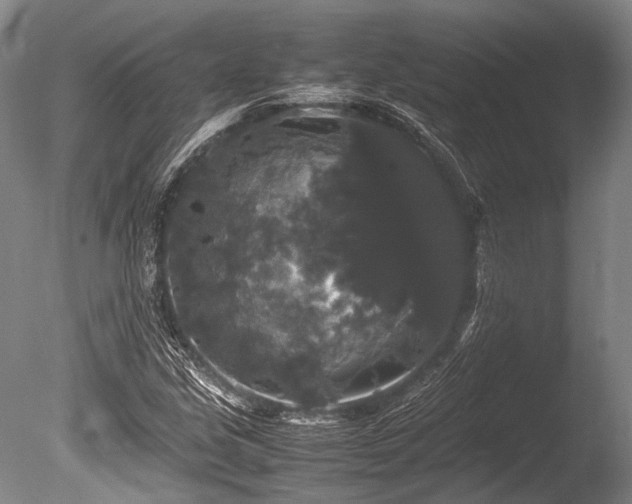 X0000086261213200703291424