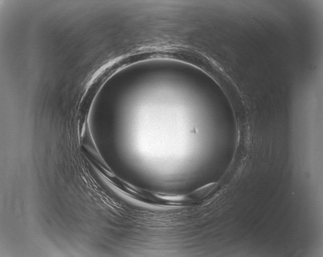 X0000086261214200703291424