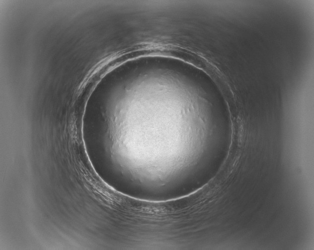 X0000086261215200703291424
