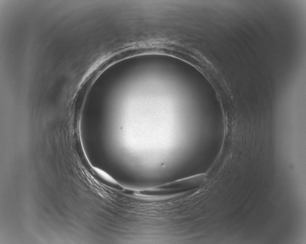 X0000086261216200703291424