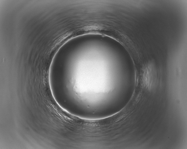 X0000086261217200703291424