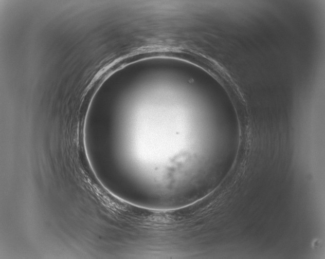 X0000086261220200703291424