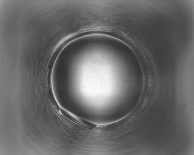 X0000086261222200703291424