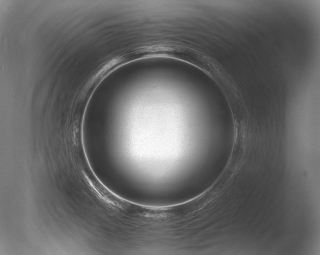 X0000086261225200703291424