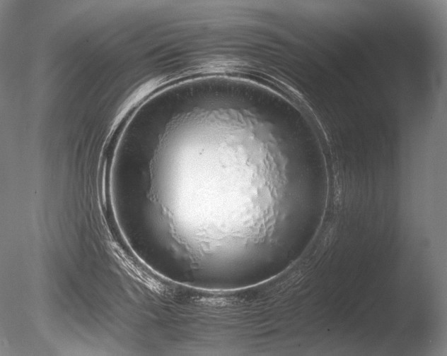 X0000086261227200703291424