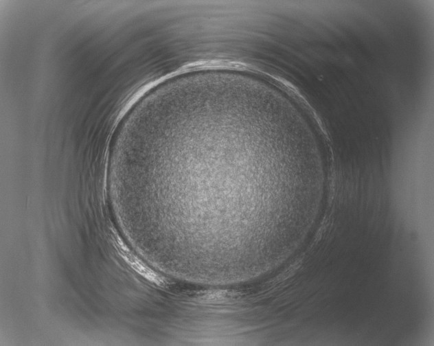 X0000086261228200703291424