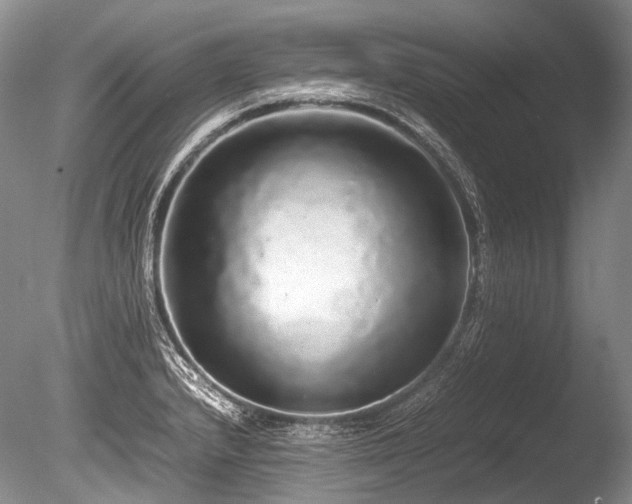 X0000086261232200703291424