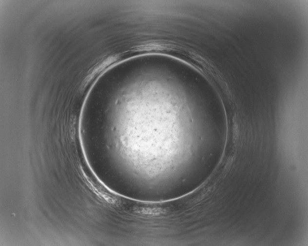 X0000086261233200703291424
