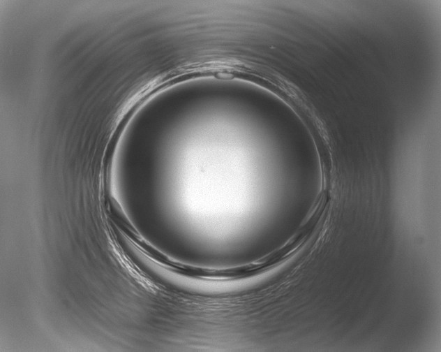 X0000086261234200703291425