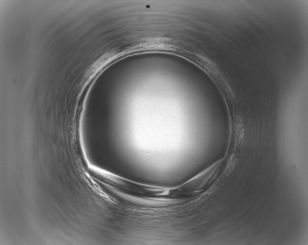 X0000086261236200703291425