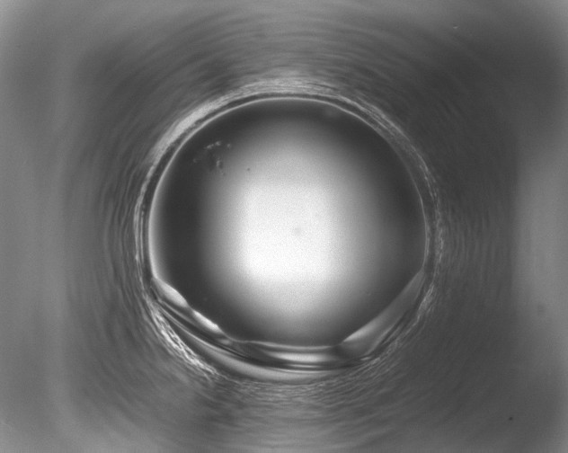 X0000086261238200703291425