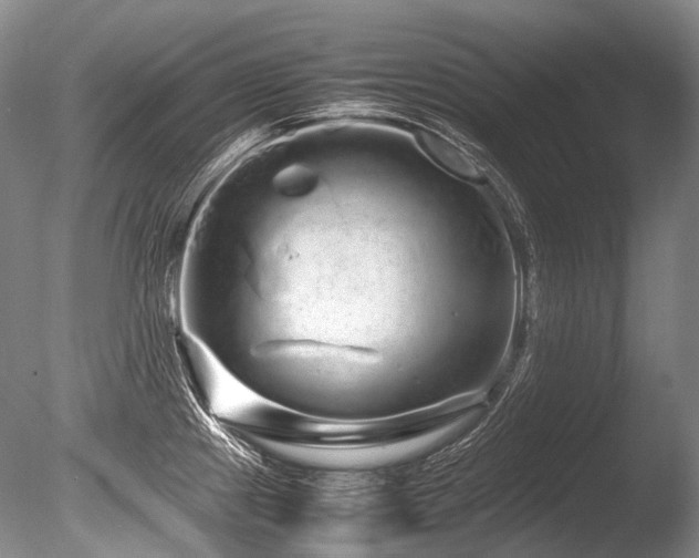 X0000086261241200703291425