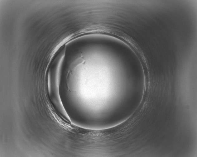 X0000086261242200703291425