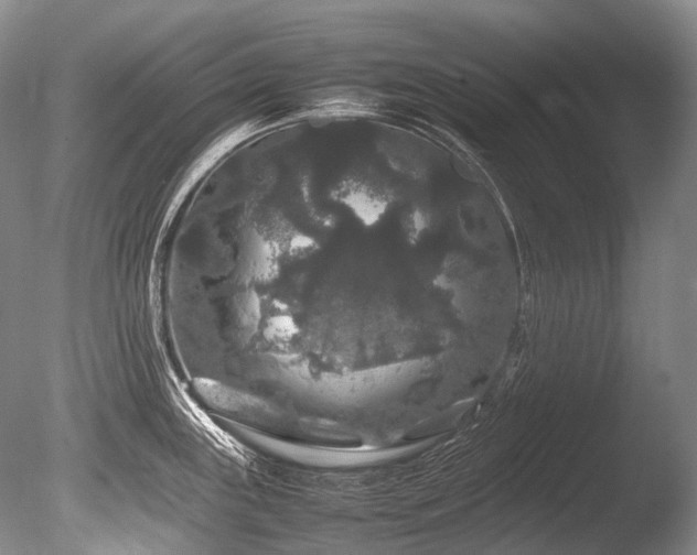X0000086261243200703291425