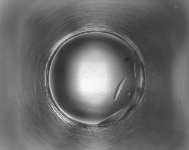 X0000086261246200703291425