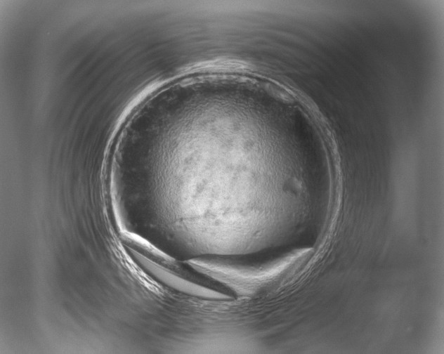 X0000086261248200703291425