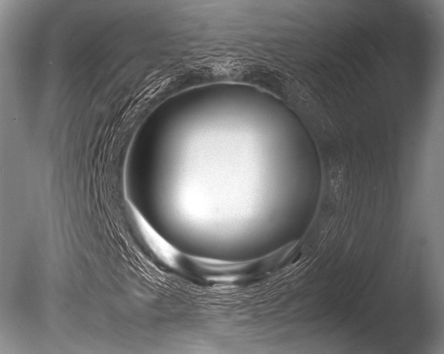 X0000086261249200703291424