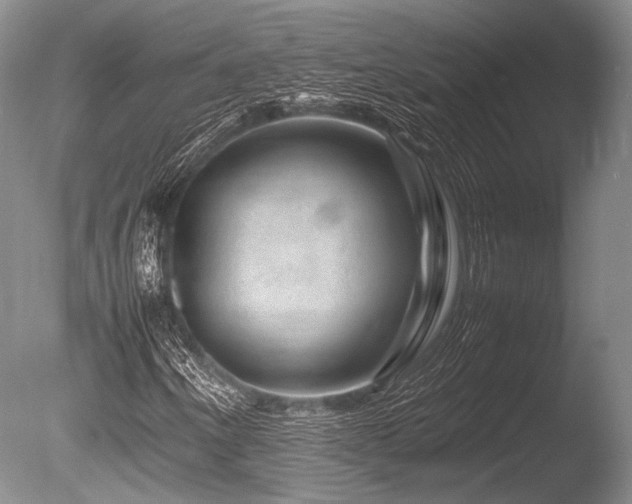 X0000086261250200703291424