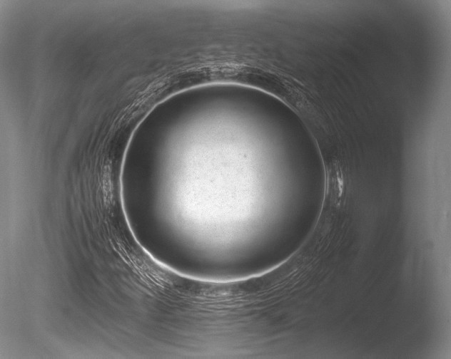 X0000086261252200703291424