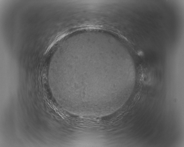 X0000086261255200703291424