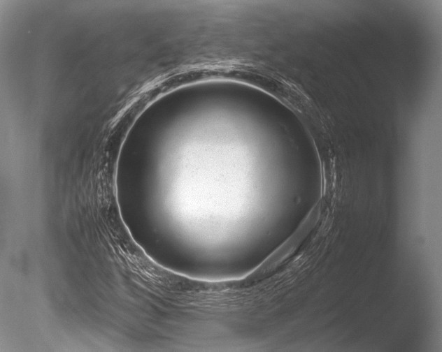 X0000086261256200703291424