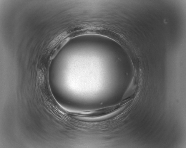 X0000086261257200703291424