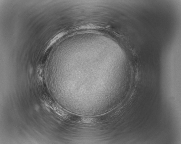 X0000086261258200703291424