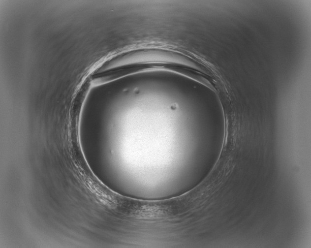 X0000086261264200703291424