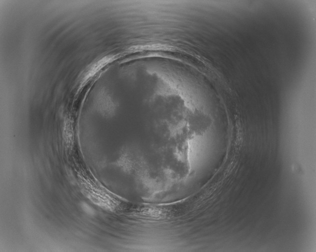 X0000086261266200703291424