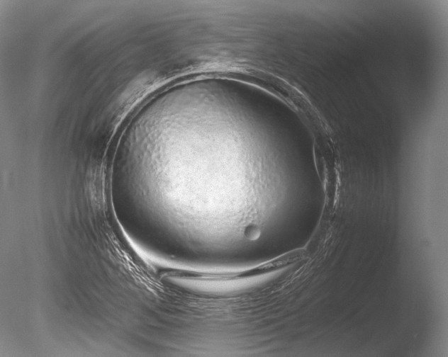 X0000086261268200703291424