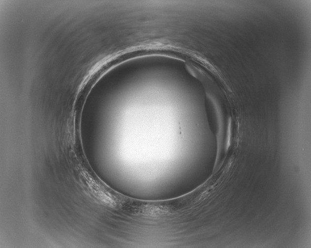 X0000086261270200703291424